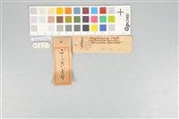 五色鳥藏品圖，第20張
